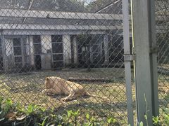 -合肥野生动物园