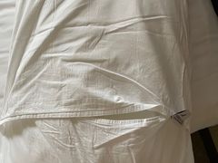 另一个完全没用过的枕头-鹤壁迎宾馆