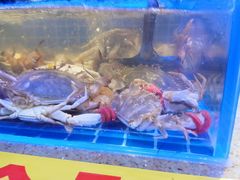水产区-圣罗巴海鲜自助(黑金店)