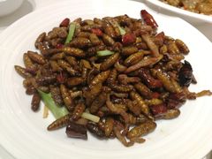 -金春禧(贵和领秀城店)
