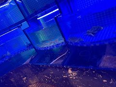 -醉霖生态餐厅(交大店)