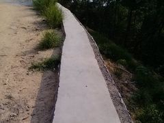 路面-火炉山森林公园