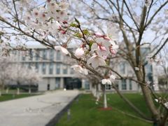 -中共上海市委党校 上海行政学院