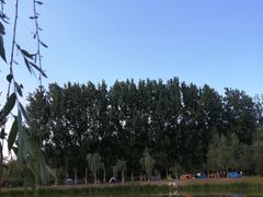 -东郊湿地公园