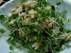 香椿苗拌桃仁-丽泽山庄·生态怀柔菜·虹鳟鱼(红螺寺店)