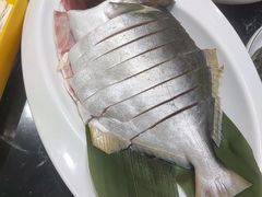 -小海豚•老字号海鲜餐厅(天涯店)