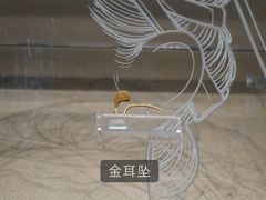 -南越王博物院(王宫展区)