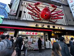 -蟹道乐(道顿堀本店)