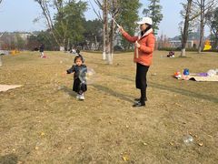 -铁山坪森林公园