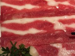 -汤城·料青山