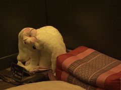 -泰馨玺·正宗泰式按摩SPA(石皮路店)