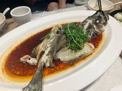 老虎斑-79号渔船海鲜饭店(华强北店)