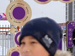 -沈阳奥体冰雪嘉年华