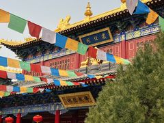-西安市广仁寺