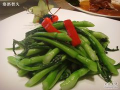 广东菜心-悦隆酒店-中餐厅