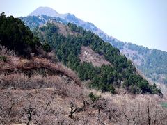 -白河堡水库