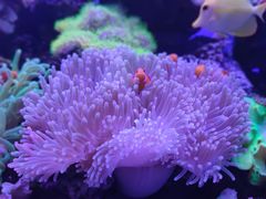 -多彩贵州城极地海洋世界