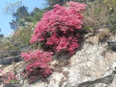 -木兰云雾山
