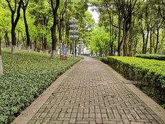 -重庆市江北嘴中央商务区中央公园