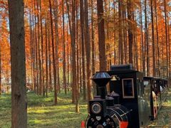 -黄海国家森林公园