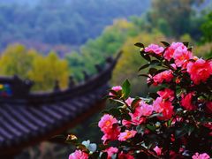 -杭州上天竺法喜讲寺