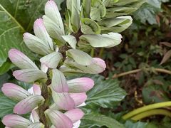 -昆明市金殿名胜区