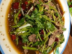 -文记四川鱼馆(小纬北路店)