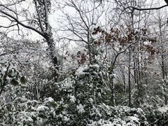 -上海佘山国家森林公园西佘山园