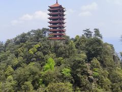 -缙云山景区