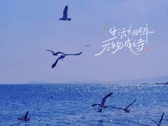 -傅家庄公园