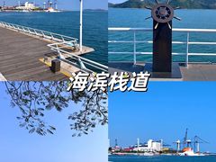 -深圳野生动物园