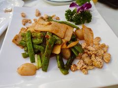 -云中小雅