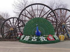 -呀路古热带植物园