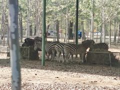 -秦皇岛野生动物园
