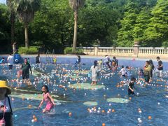 -重庆长寿碧桂园凤悦凤凰酒店