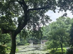 -山外山菜馆(玉泉路店)