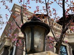 -天津五大道文化旅游区