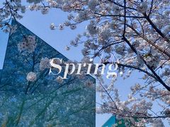 -龙美术馆(西岸馆)