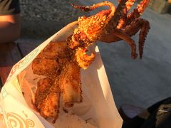 大鱿鱼-大连海昌发现王国主题公园