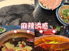 -镇江龙·火锅串串(武侯祠店)