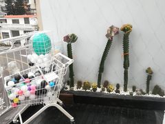 -Eckl’s爱氏热狗(猫街店)