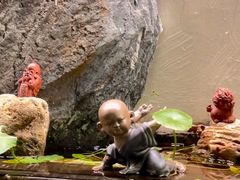 -少林功夫文化中心·独门独院