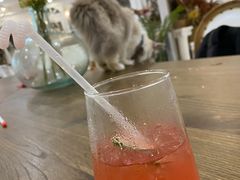 -共舞时光猫咖·狗咖(新街口店)