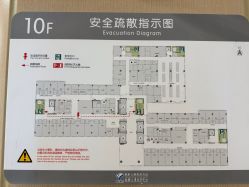 -上海交通大学医学院附属上海儿童医学中心(陆家嘴总院区)