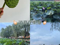 -长春市南湖公园