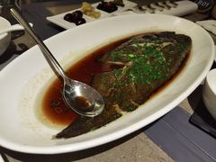 清蒸东海玉秃鱼-宁海安岚·南溪阁全日餐厅