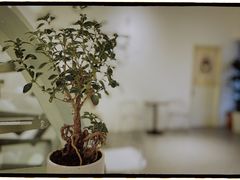 -香草山咖啡店·外教英语角·自习室(盛世商都店)