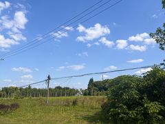 -上海佘山国家森林公园天马山园