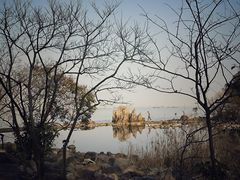 -上海吴淞炮台湾国家湿地公园