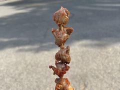-庞记炸串